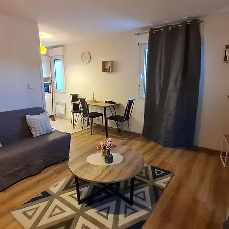 Le Cosy Home Oyonnax Esterno foto
